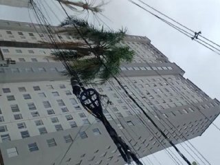 Imagem do imóvel AP40103