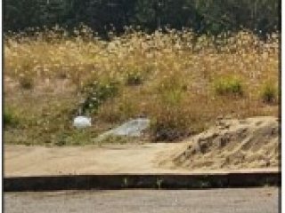 Imagem do imóvel TE95500