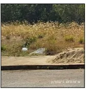 Imagem do imóvel TE05943
